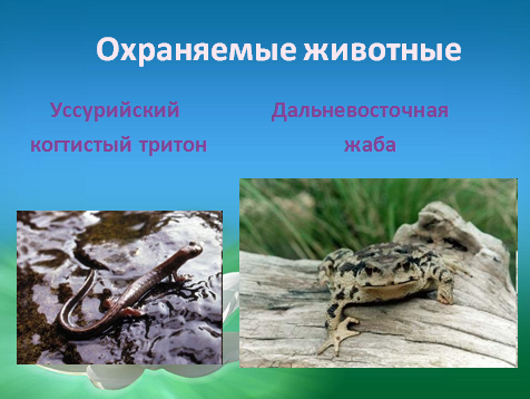 Rezerwaty prezentacyjne Dalekiego Wschodu