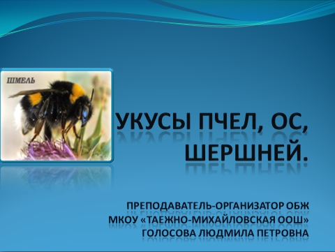 Ugryzienia owadów